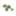 Favicon van tuincentrumslingerland.nl