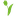 Favicon van tulpfietsen.nl