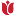 Favicon van tulpvastgoed.nl