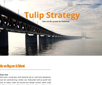 http://www.tulipstrategy.com