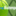 Favicon van tv-buitenpost.nl