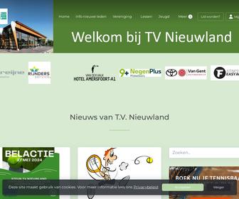 http://www.tvnieuwland.nl