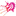 Favicon van twenteprint.nl