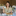 Favicon van typisch-van-denzen.nl