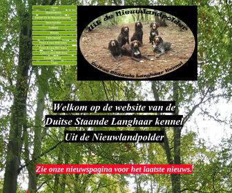 Hondenuitlaatservice Uit de Nieuwlandpolder