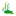 Favicon van uswetterpleats.nl