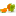Favicon van vavia.nl