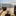 Favicon van vakantievillamarkermeer.nl
