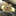 Favicon van vandengeest.nl