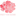 Favicon van vanschiepioenen.nl