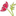 Favicon van vanschietekententekst.nl