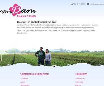 van Dam flowers & plants