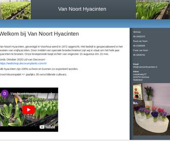 Van Noort Hyacinten