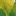 Favicon van vdberk-assurantien.nl