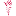 Favicon van veenstrafritom.nl