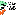 Favicon van veganbearchef.com