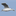 Favicon van verlichtjeleven.nl