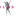 Favicon van verloskundigenpraktijkwest.nl