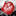 Favicon van vermeyuitvaartzorg.nl
