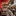 Favicon van vinovoorthuizen.nl