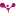 Favicon van viecuri.nl