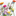 Favicon van vitalbodycare.nl