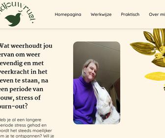 Vind jouw rust