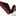 Favicon van voscateringhardenberg.nl
