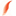 Favicon van vrijeschoolkairos.nl
