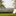 Favicon van waalheimerfarm.nl