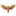 Favicon van waarkunst.nl