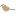Favicon van wachtsluis.nl