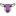 Favicon van westyarn.nl