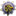 Favicon van webpassie.nl