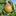 Favicon van westeindefruit.nl