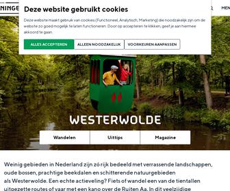 Tourist Info Westerwolde agentschap Vriescheloo