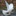 Favicon van witteduivenservice.nl
