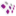 Favicon van wielink.nu