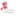 Favicon van wildpoppiesphotography.nl