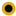 Favicon van willcon.nl