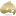 Favicon van willyhockey.com