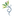 Favicon van winandhazelaar.nl