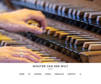 Wouter van der Wilt Musicus