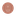 Favicon van wsslwrkng.nl