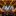 Favicon van Www.solivi.nl