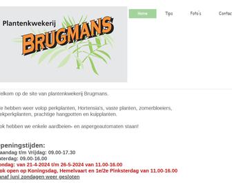 http://Www.kwekerijbrugmans.nl