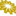 Favicon van xynthesis.nl