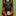 Favicon van ybajohoeve.nl
