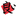 Favicon van yoishiatsu.nl