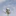 Favicon van yorg.nl